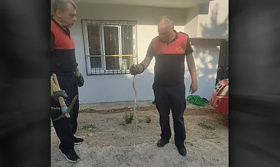 Siirt'te Evin Bahçesine Giren Yılan İtfaiye Ekiplerince Yakalandı