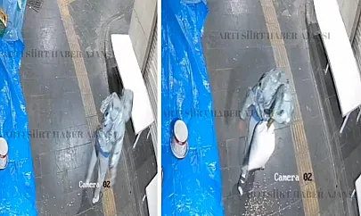 Siirt'te Fıstık Hırsızlığı Kamerada: Emniyet 12 Saatte Şüpheliyi Yakaladı