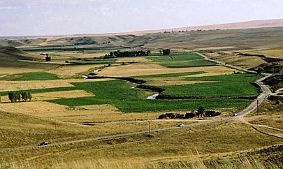Siirt'te Hazineye Ait 9 Taşınmaz Satışa Çıkarıldı