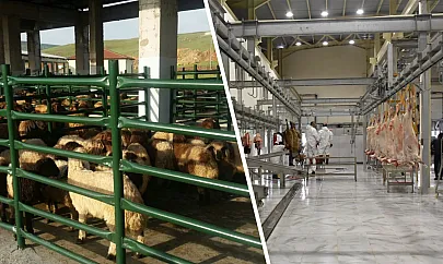 Siirt'te Kurban Satış ve Kesim Yerleri Açıklandı! Belediye O Konuda Vatandaşları Uyardı