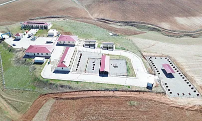 Siirt'te Sokak Hayvanları İçin Örnek Proje: Modern Barınak Sokak Hayvanlarına Hizmet Veriyor