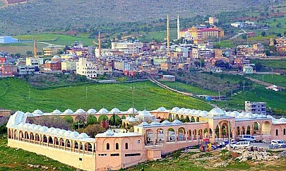 Tillo'da Haşere Sorunu Büyüyor: Halk İlaçlama Çalışmalarının Artmasını İstiyor