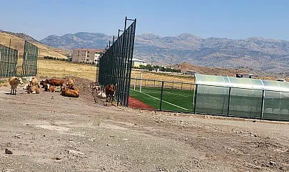 Veysel Karani'de Saha Yapıldı, Çevre Düzenlemesi Unutuldu