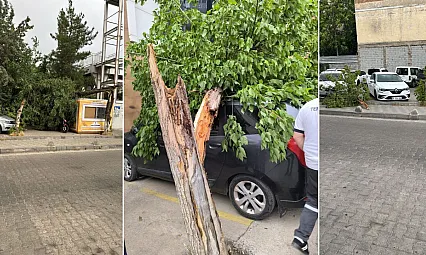 Siirt'te Şiddetli Fırtına Hayatı Felç Etti: Çatılar Uçtu, Camlar Kırıldı, Ağaçlar ve Duraklar Devrildi