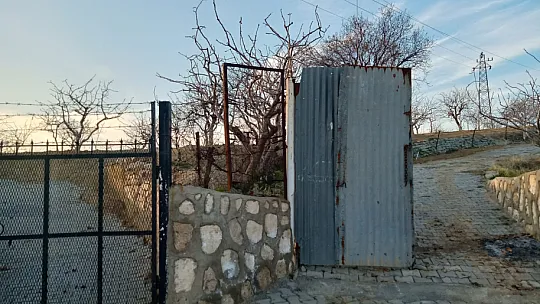 Siirt'te Hırsızlar Fıstık Bağlarına Dadandı