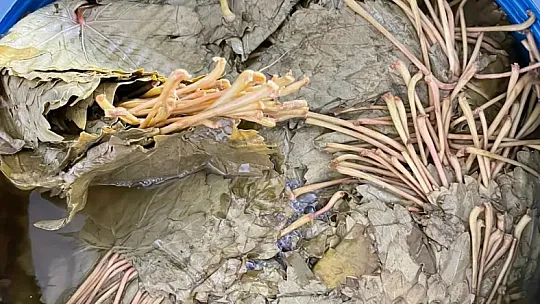 'Üreten Eller Kadın Kooperatifi' ile Siirt'te Yeni Bir Marka Kuruluyor