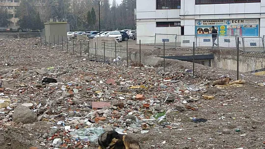 89 kişiye mezar olan Galeria Sitesi alanı sokak köpeklerinin mekanı haline geldi