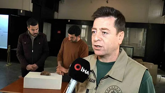 Adıyaman'da 15 milyon yıllık balık fosili bulundu