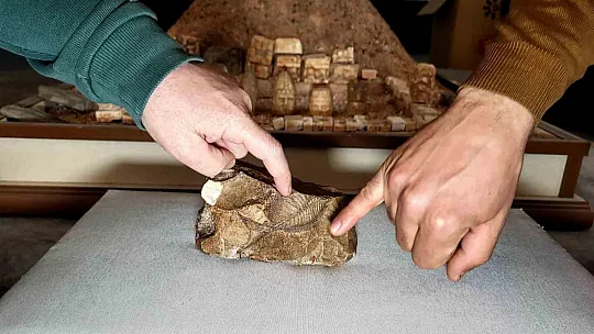 Adıyaman'da 15 milyon yıllık balık fosili bulundu