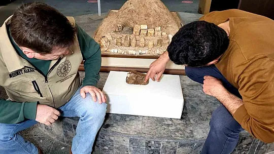 Adıyaman'da 15 milyon yıllık balık fosili bulundu
