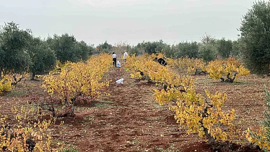 Adıyaman Üniversitesi'nin tarımsal projesi desteğe değer görüldü