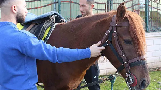 Atalarından devraldıkları rahvan atlarına gözleri gibi bakarak yarışlara hazırlıyorlar