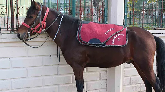 Atalarından devraldıkları rahvan atlarına gözleri gibi bakarak yarışlara hazırlıyorlar
