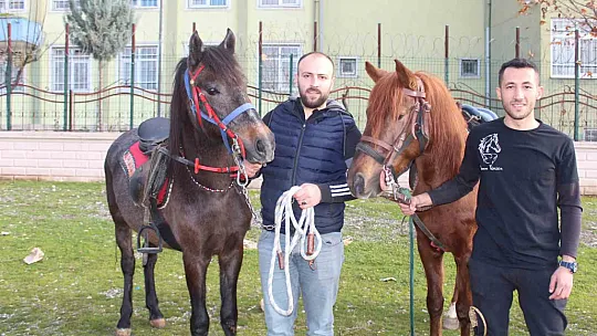 Atalarından devraldıkları rahvan atlarına gözleri gibi bakarak yarışlara hazırlıyorlar