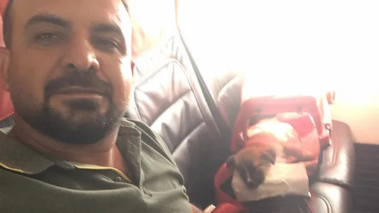 Siirt'te Ölüme Terk Edilen Köpeği Hayata Bağladı