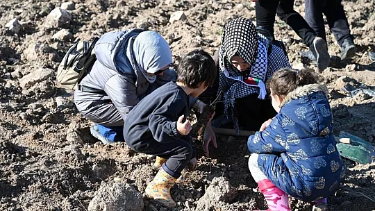 Batman'da Gazzeli şehitler anısına yüzlerce fidan toprakla buluşturuldu