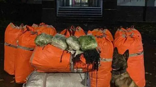 Batman'da tırda 172 kilo uyuşturucu ele geçirildi