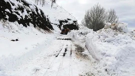 Batman-Muş dağ köyleri bağlantı yolu ulaşıma açıldı