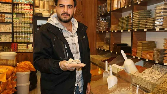 Birçok hastalığa iyi gelen mide dostu zencefile ilgi arttı