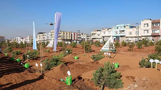 Büyükşehir, Taşlıca Malazgirt Mahallesi'nde ağaç dikimi yaptı