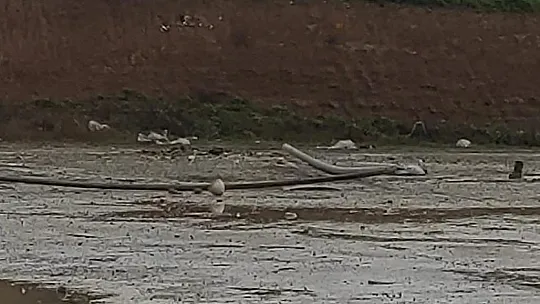 Diyarbakır'da çalışma yapılan petrol kuyusunda patlama: 1 ölü, 1 yaralı
