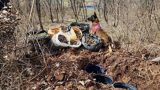 Diyarbakır'da jelikan bidon içerisine saklanmış 43 kilo esrar ele geçirildi