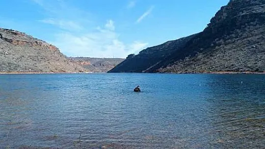 Diyarbakır'da kaçak avlanmada kullanılan 500 metre ağ ele geçirildi