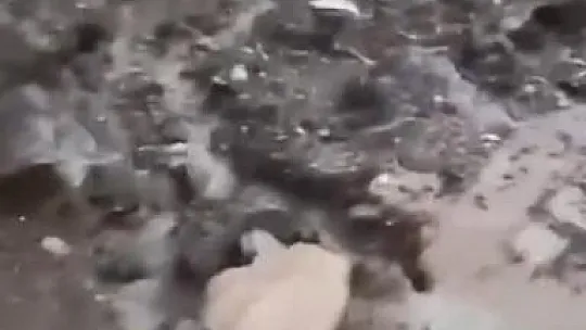 Diyarbakır'da sağanak yağış sonrası ev ve sokakları su bastı