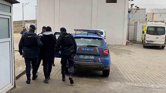 Diyarbakır'da terör operasyonu