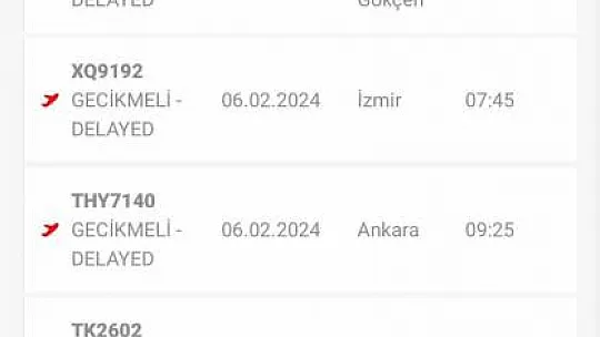 Diyarbakır'da uçak seferlerinde sis engeli
