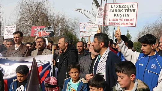 Doktorlar, Kurtalan'da Gazze için yürüyüş gerçekleştirdi
