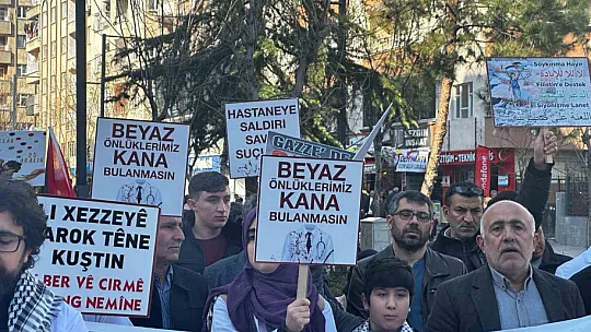 Doktorların İsrail'e karşı 'sessiz yürüyüşü' devam ediyor