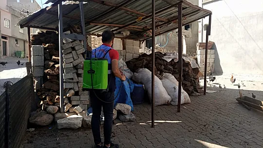 Siirt Belediyesinin İlaçlama Çalışmaları Devam Ediyor