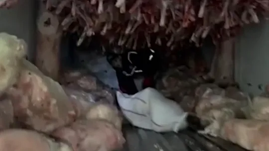 Gaziantep'te bir ayda yarım ton uyuşturucu ele geçirildi