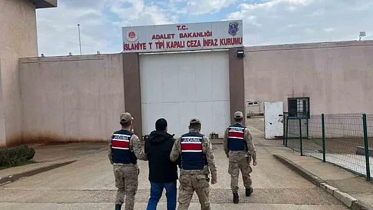 Gaziantep'te skunk operasyonu: 1 tutuklama