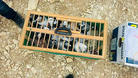 Gazze'deki çocukların özgürlüğü için binlerce güvercin gökyüzüne bırakıldı