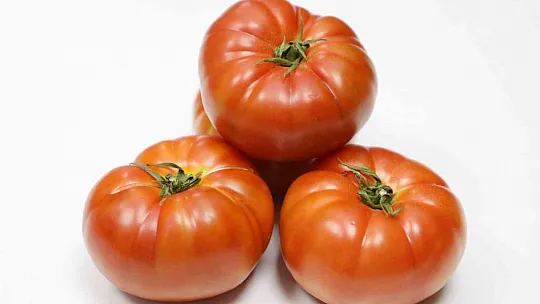 GTB, 'Sof Domatesi'ni tescilledi