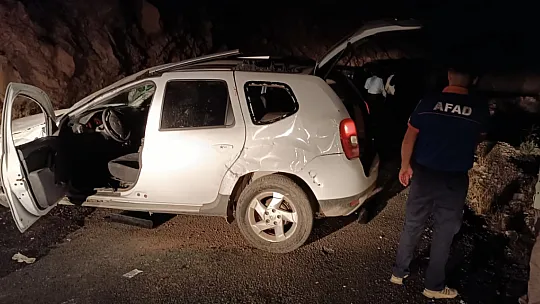 Siirt'te Kontrolden Çıkan Otomobil Kaza Yaptı: Aynı Aileden 4 Kişi Yaralandı