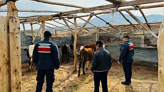 Jandarma ekipleri kaybolan sürüyü İHA ile buldu