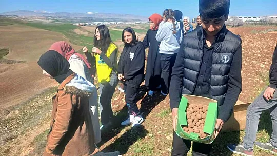 Öğrenciler bin tohum toplarını doğayla buluşturdu