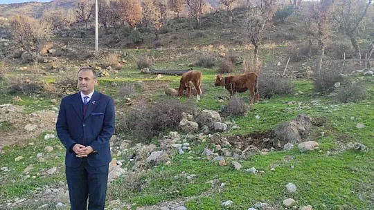 Sığır besicileri desteklenerek yerli ırk koruma altına alınıyor