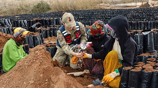 Siirt'te jandarma kadınlara karanfil dağıtarak günlerini kutladı