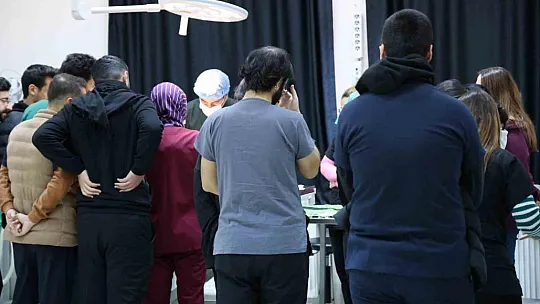 Sokak köpekleri için barınak ve çip vurgusu
