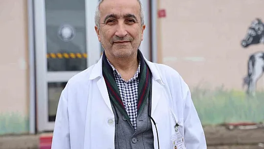 Sokak köpekleri için barınak ve çip vurgusu