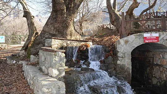 Tarihi Sevek mesire alanı fotoğraf severler için doğal stüdyo oluyor