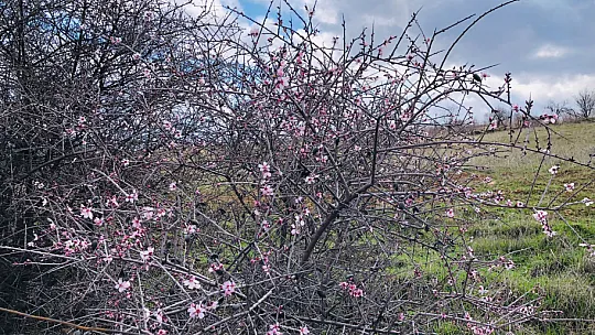 Siirt'e Bahar İlçelere Kış Geldi