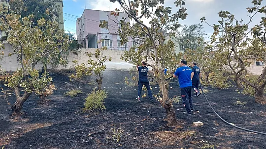 Siirt Şeyh Süleyman Mezarlığında Yangın!