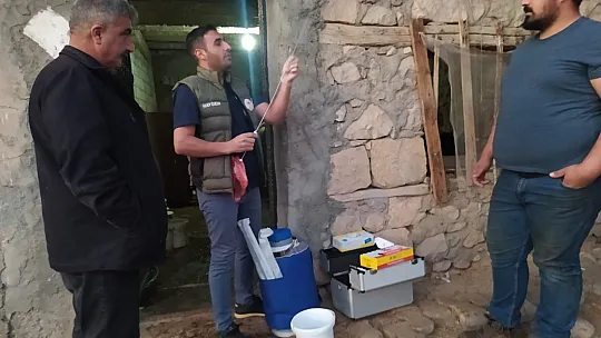 Siirt'te ETKİYAP Projesinin İlk Buzağıları Doğdu