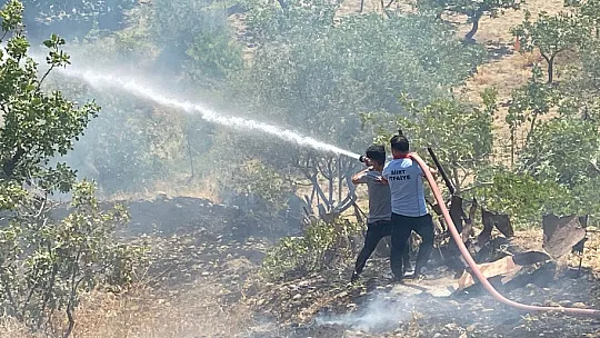 Siirt'te fıstık bahçesinde çıkan yangın güçlükle söndürüldü!