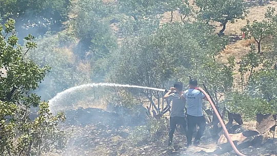 Siirt'te fıstık bahçesinde çıkan yangın güçlükle söndürüldü!